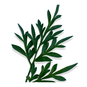 FLORATREE  Artificial Plant